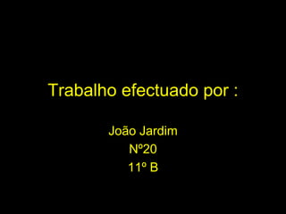 Trabalho efectuado por : João Jardim  Nº20 11º B 