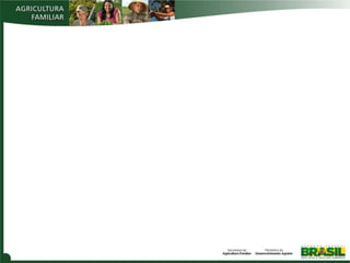 Joao luis guadagnin mda