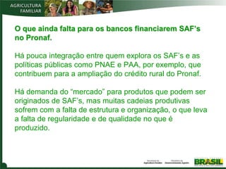 O que ainda falta para os bancos financiarem SAF’s
no Pronaf.

Há pouca integração entre quem explora os SAF’s e as
políticas públicas como PNAE e PAA, por exemplo, que
contribuem para a ampliação do crédito rural do Pronaf.

Há demanda do “mercado” para produtos que podem ser
originados de SAF’s, mas muitas cadeias produtivas
sofrem com a falta de estrutura e organização, o que leva
a falta de regularidade e de qualidade no que é
produzido.
 
