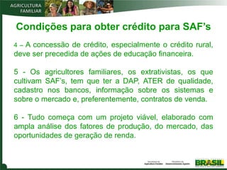 Condições para obter crédito para SAF’s
4 – A concessão de crédito, especialmente o crédito rural,
deve ser precedida de ações de educação financeira.

5 - Os agricultores familiares, os extrativistas, os que
cultivam SAF’s, tem que ter a DAP, ATER de qualidade,
cadastro nos bancos, informação sobre os sistemas e
sobre o mercado e, preferentemente, contratos de venda.

6 - Tudo começa com um projeto viável, elaborado com
ampla análise dos fatores de produção, do mercado, das
oportunidades de geração de renda.
 