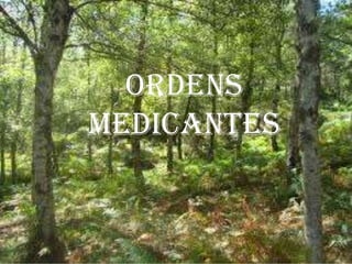 Ordens
medicantes
 
