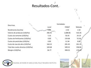 Resultados-Cont.
       
Descricao
Variedades
Local PAN67 Matuba
Rendimento (ton/ha) 0.80 2.50 1.50
Valores de producao (USD/ha) 206.45 1,008.06 532.26
Custos da semente (USD/ha) 5.16 56.45 24.19
Custos de fertilizantes (USD/ha) 0.00 159.68 72.58
Custos de pesticidas (USD/ha) 0.00 11.94 0.00
Custo de mao de obra (USD/ha) 164.52 281.45 261.29
Total dos custos directos (USD/ha) 169.68 509.52 358.06
Margins (USD/ha) 36.77 498.55 174.19
 