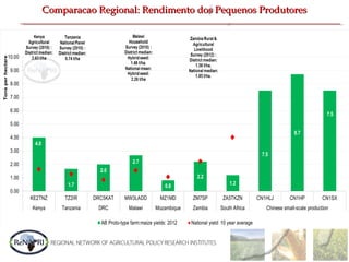 Comparacao Regional: Rendimento dos Pequenos ProdutoresComparacao Regional: Rendimento dos Pequenos Produtores
 