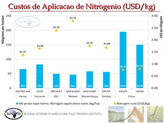Custos de Aplicacao de Nitrogenio (USD/kg)Custos de Aplicacao de Nitrogenio (USD/kg)
 