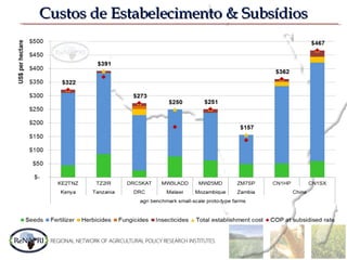 Custos de Estabelecimento & SubsídiosCustos de Estabelecimento & Subsídios
 