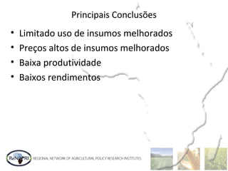 Principais Conclusões
• Limitado uso de insumos melhorados
• Preços altos de insumos melhorados
• Baixa produtividade
• Baixos rendimentos
 
