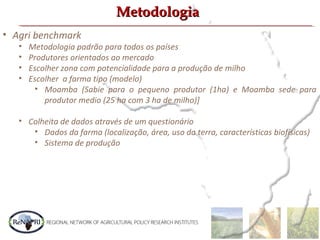 MetodologiaMetodologia
• Agri benchmark
• Metodologia padrão para todos os países
• Produtores orientados ao mercado
• Escolher zona com potencialidade para a produção de milho
• Escolher a farma tipo (modelo)
• Moamba (Sabie para o pequeno produtor (1ha) e Moamba sede para
produtor medio (25 ha com 3 ha de milho)]
• Colheita de dados através de um questionário
• Dados da farma (localização, área, uso da terra, características biofísicas)
• Sistema de produção
 