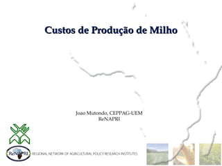 Custos de Produção de MilhoCustos de Produção de Milho
Joao Mutondo, CEPPAG-UEM
ReNAPRI
 