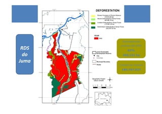 Desmatamento
        previsto até 2050
 RDS         62%
  do     366,151 ha

Juma
       Créditos de carbono

        189.767.027
 