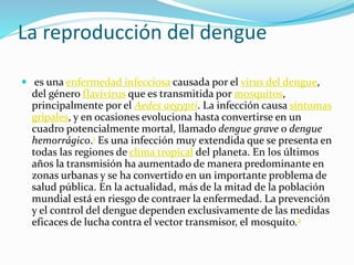 La reproducción del dengue
es una enfermedad infecciosa causada por el virus del dengue,
del género flavivirus que es transmitida por mosquitos,
principalmente por el Aedes aegypti. La infección causa síntomas
gripales, y en ocasiones evoluciona hasta convertirse en un
cuadro potencialmente mortal, llamado dengue grave o dengue
hemorrágico.1 Es una infección muy extendida que se presenta en
todas las regiones de clima tropical del planeta. En los últimos
años la transmisión ha aumentado de manera predominante en
zonas urbanas y se ha convertido en un importante problema de
salud pública. En la actualidad, más de la mitad de la población
mundial está en riesgo de contraer la enfermedad. La prevención
y el control del dengue dependen exclusivamente de las medidas
eficaces de lucha contra el vector transmisor, el mosquito.2
