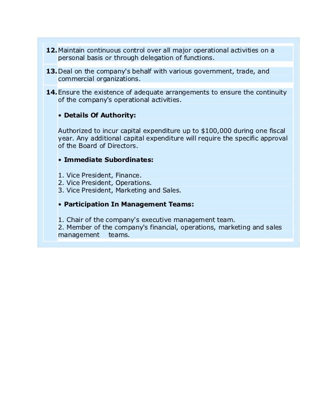 vice president of sales and marketing job description