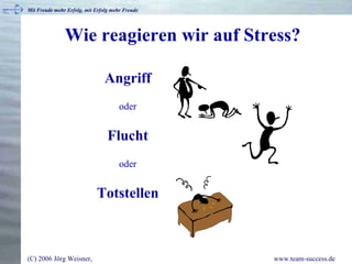 Wie reagieren wir auf Stress? Angriff oder Flucht oder Totstellen 