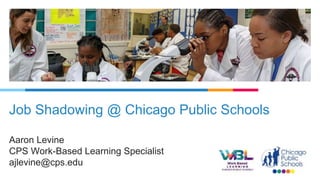 Job Shadowing: practical approaches to an effective career guidance ...