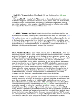 Job 2 commentary | PDF