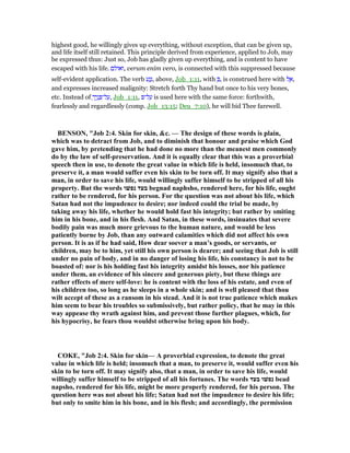 Job 2 commentary | PDF
