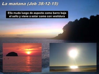 Ella muda luego de aspecto como barro bajo
el sello y viene a estar como con vestidura
 