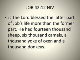 JOB 42:12 NIV
• 12 The Lord blessed the latter part
of Job’s life more than the former
part. He had fourteen thousand
sheep, six thousand camels, a
thousand yoke of oxen and a
thousand donkeys.
 