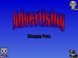 Shaggy Pets Advertising 