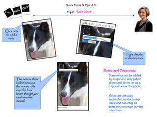 Quick Tools & Tips # 5
Topic: Take Note!
Click here
to add a
note.
Type details
or descriptors.
The note is then
visible because
the mouse rolls
over the box
(even though you
can’t see the
mouse)
Comments can be added
by anyone to any public
photo and show up as a
caption below the photo...
Notes are actually
embedded on the image
itself and can only be
seen as the mouse hovers
over them.
Notes and Comments
 
