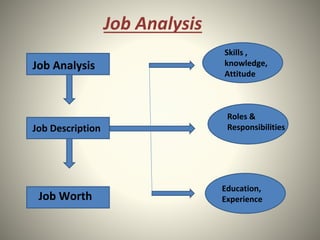 Job Analysis
Job Analysis
Job Description
Job Worth
Skills ,
knowledge,
Attitude
Roles &
Responsibilities
Education,
Experience
 