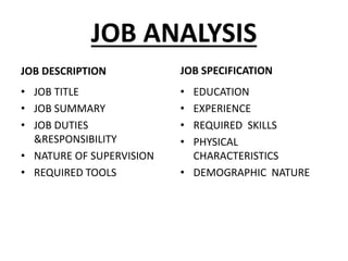 JOB ANALYSIS
JOB DESCRIPTION
• JOB TITLE
• JOB SUMMARY
• JOB DUTIES
&RESPONSIBILITY
• NATURE OF SUPERVISION
• REQUIRED TOOLS
JOB SPECIFICATION
• EDUCATION
• EXPERIENCE
• REQUIRED SKILLS
• PHYSICAL
CHARACTERISTICS
• DEMOGRAPHIC NATURE
 