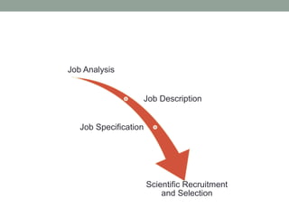 Job Analysis
Job Description
Job Specification
Scientific Recruitment
and Selection
 