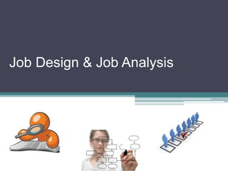 Job Design & Job Analysis
 