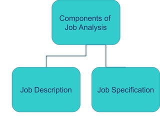 Component Include In Job Design Job_Analysis_and_Job_Design_.ppt