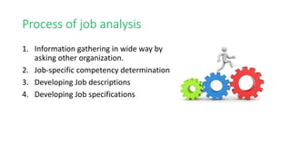 Process of job analysis
1. Information gathering in wide way by
asking other organization.
2. Job-specific competency determination
3. Developing Job descriptions
4. Developing Job specifications
 