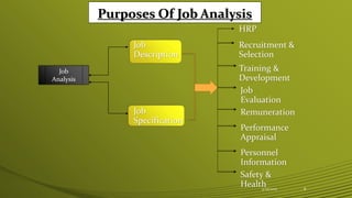Purposes Of Job Analysis
Job
Analysis
Job
Description
Job
Specification
HRP
Recruitment &
Selection
Training &
Development
Job
Evaluation
Remuneration
Performance
Appraisal
Personnel
Information
Safety &
Health4/25/2015 8
 