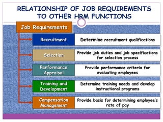Job Requirements
Recruitment
Selection
Performance
Appraisal
Training and
Development
Compensation
Management
Determine recruitment qualifications
Provide job duties and job specifications
for selection process
Provide performance criteria for
evaluating employees
Determine training needs and develop
instructional programs
Provide basis for determining employee’s
rate of pay
RELATIONSHIP OF JOB REQUIREMENTS
TO OTHER HRM FUNCTIONS
 