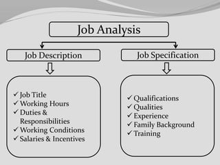 Job Analysis
Job SpecificationJob Description
 Job Title
 Working Hours
 Duties &
Responsibilities
 Working Conditions
 Salaries & Incentives
 Qualifications
 Qualities
 Experience
 Family Background
 Training
 