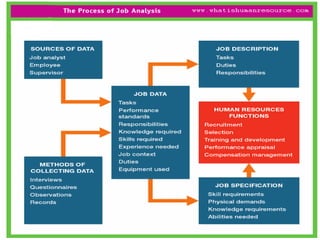 Job Problem Flow Analysis Job analysis – process and tools nkayelo | PPTX