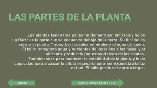 INICIO DIAPOSITIVA 3 PARA LEER