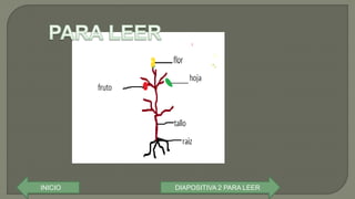 INICIO DIAPOSITIVA 2 PARA LEER