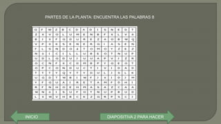 INICIO
PARTES DE LA PLANTA: ENCUENTRA LAS PALABRAS 8
DIAPOSITIVA 2 PARA HACER