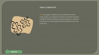 INICIO
PARA COMPARTIR
Fruto: varia según la distribucion de la semilla dentro de ellos o
cuantas tengan. Las naranjas, las manzanas y los tomates tienen gran
cantidad de semillas, hay frutos que carecen de pulpa y se consideran
como frutos secos. Como ejemplos de ellos las almendras, nuez, mani
y entre otros