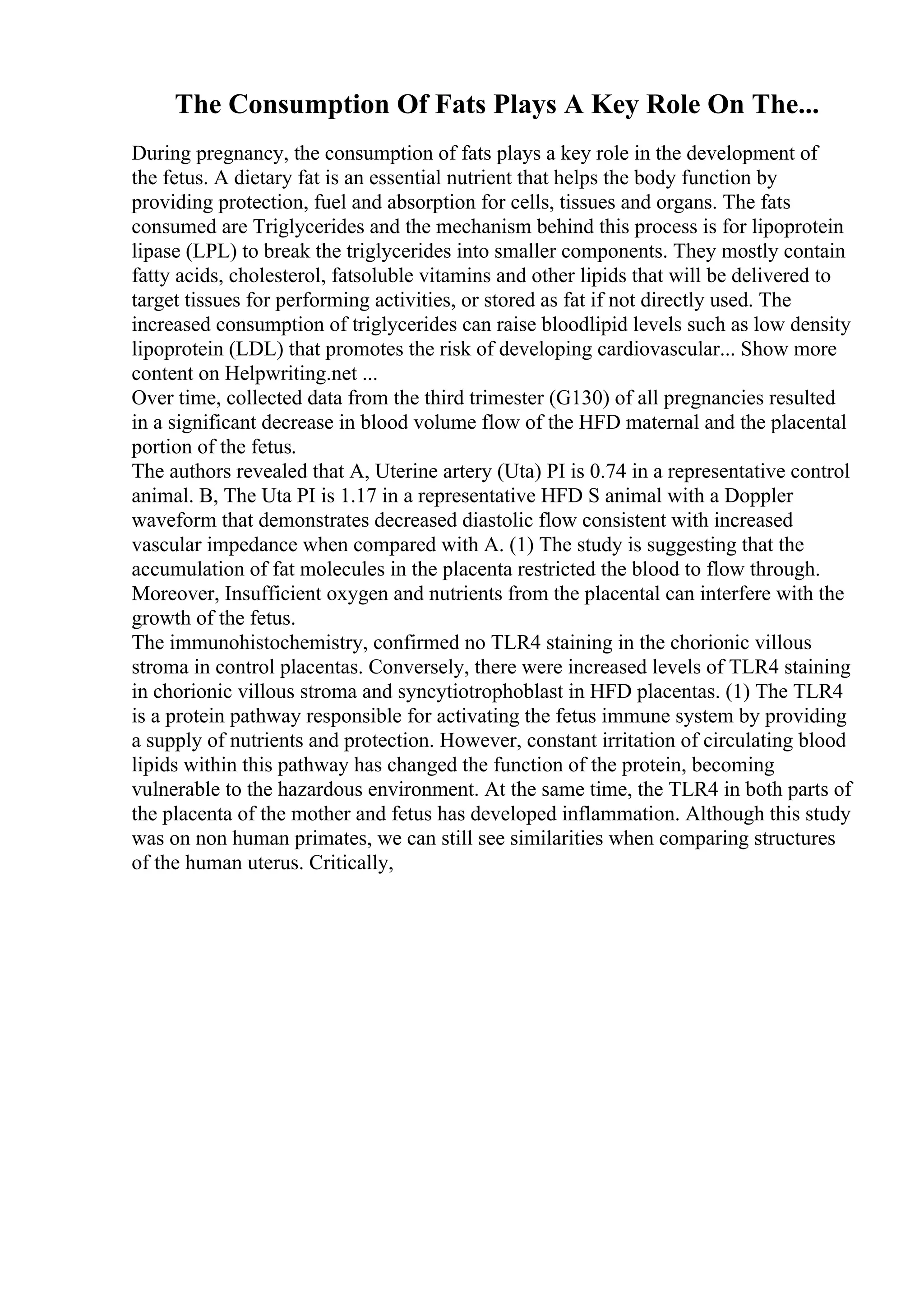 Job Application Essay Example Pdf