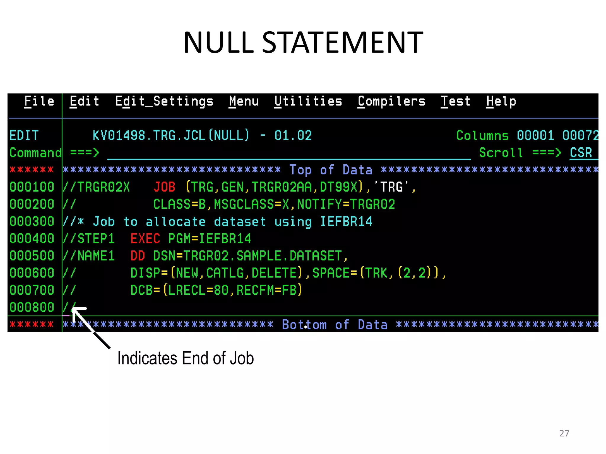 NULL STATEMENT




Indicates End of Job


                          27
 