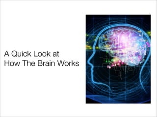 A Quick Look at
How The Brain Works
 