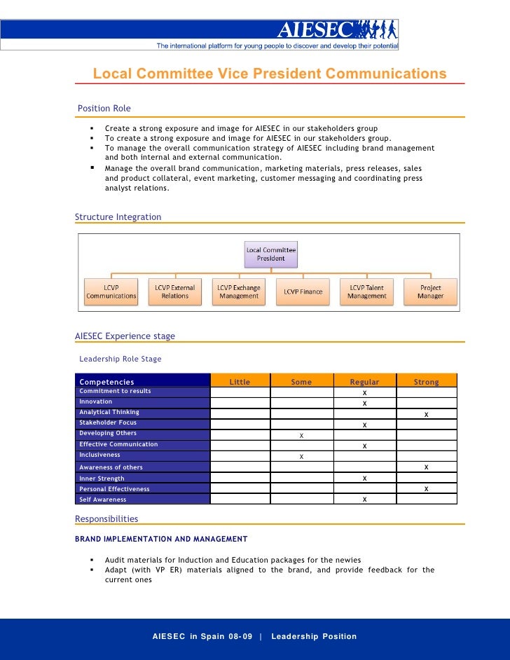 vice president of sales and marketing job description