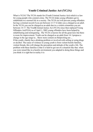 Ycja Example Job Description Essay | PDF
