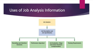 Uses of Job Analysis Information
 