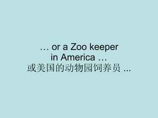 …  or a Zoo keeper in America … 或美国的动物园饲养员 ... 