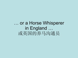 …  or a Horse Whisperer in England … 或英国的养马沟通员 