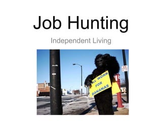 Job Hunting Independent Living 