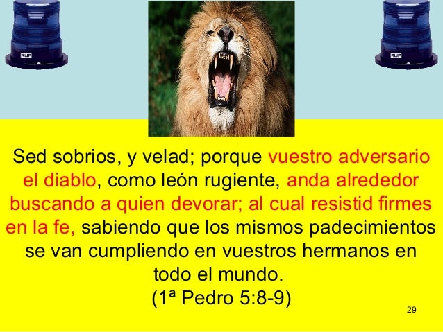 Job Integridad En La Adversidad