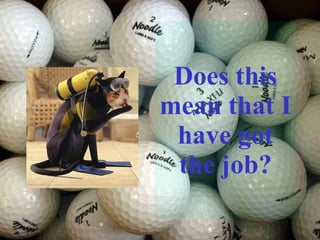 Does this mean that I have got the job? 