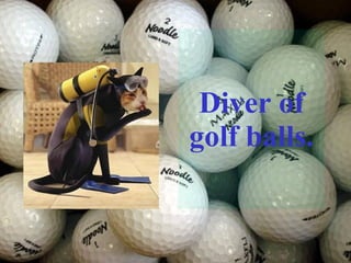 Diver of golf balls. 