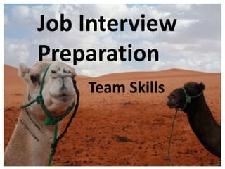 Job Interview Preparation Team Skills  